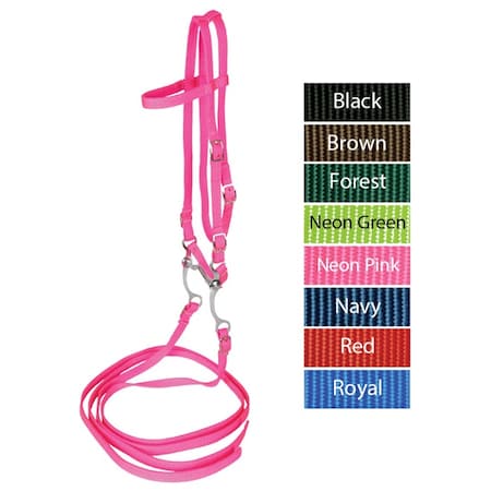 Bridle With Reins & Curb Bit NEON PINK